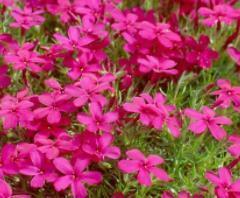 安慰男朋友的话