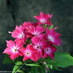 春雨的句子短句唯美