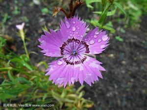 表示友情的句子诗句