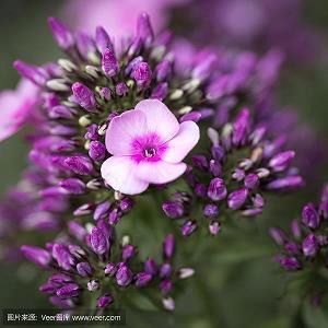 说疯疯癫癫友情的句子