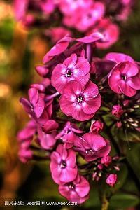 保险激励人心的句子(98句)