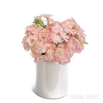 迎接夏天的朋友圈语句 期待夏天的唯美句子