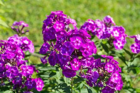 教师节主题活动祝福语(精选76句)