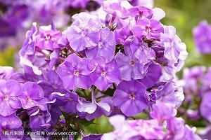 感恩对我好的人的句子