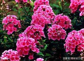 明月寄相思的唯美句子 看月亮思念对方的句子(精选31句)