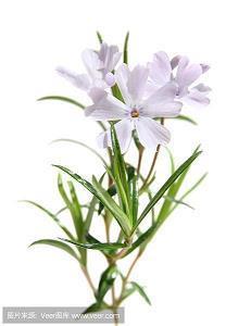 最诚恳道歉的句子 道歉的话给女朋友(精选57句)