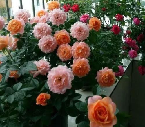 撩人情话污一点的 把对象撩到湿的污句子46句