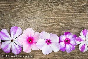 阳光朋友圈说说心情短语(精选55句)