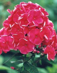 焦虑的心情句子 毕竟感情是互补的，一个人主动久了也会累的