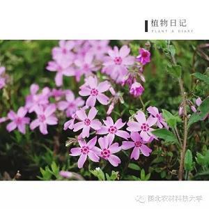 抑郁崩溃的文案 痛到心滴血的句子汇编80句