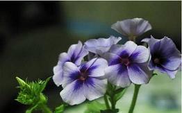 有关错过爱情的句子汇编64句