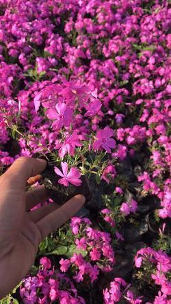 冬天暖心的早安问候语 2021早安问候语最新精选61句