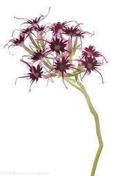 女人正能量激励人的好句子