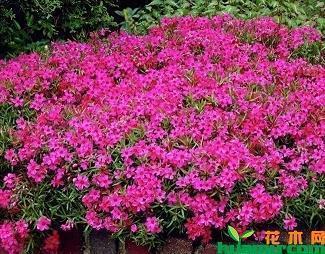 最新立冬的祝福语句子大气(精选83句)