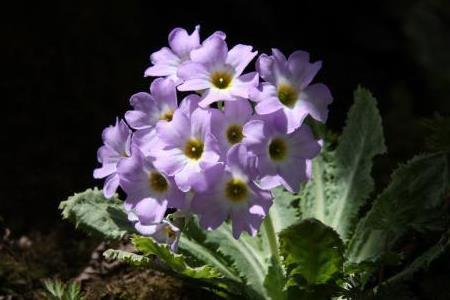 看清人心的说说经典短句子23句