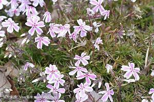 想念曾经的自己语录一句话 关于曾经的经典语录