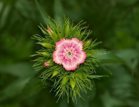哄女朋友开心很暖的话 哄女孩子开心的句子30句