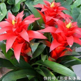 表达美好心情的句子99句