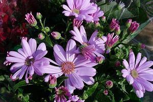 每日一句正能量短语 一句正能量的话(精选75句)