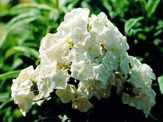 突然间看透一切的句子集锦29句