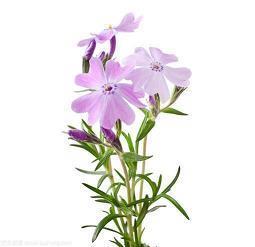 不懂感恩的句子说说