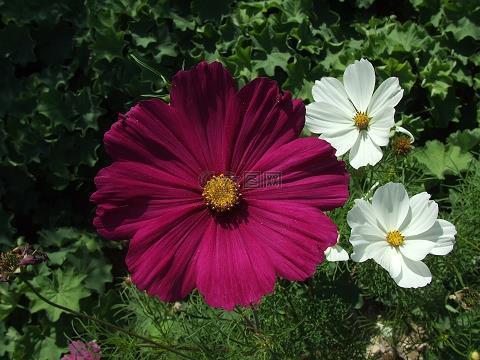 表示对母亲失望的句子