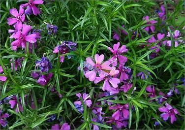 新的一天的朋友圈说说 新的一天早上的祝福语精选87句